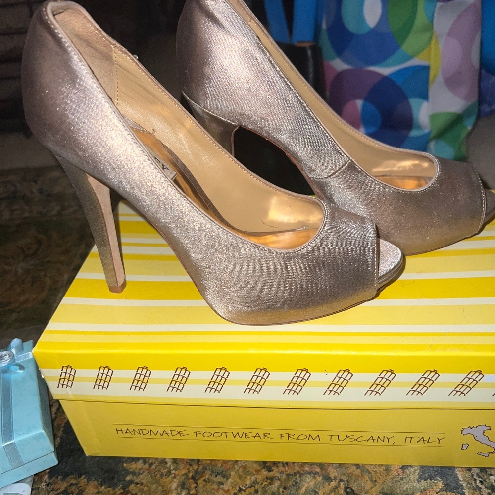 BADGLEY MISCHKA shoes size 6